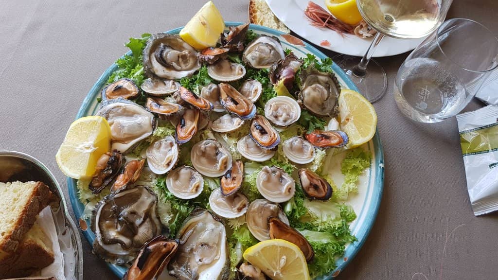 Special Occasion Venue