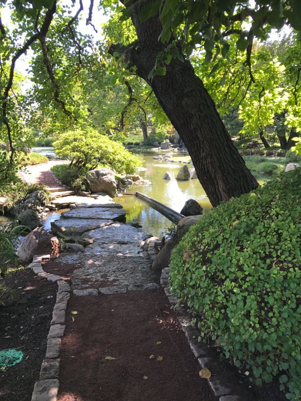 Museum of Science and Industry