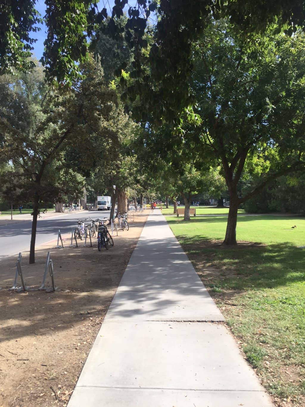 End Zone Grass Patches