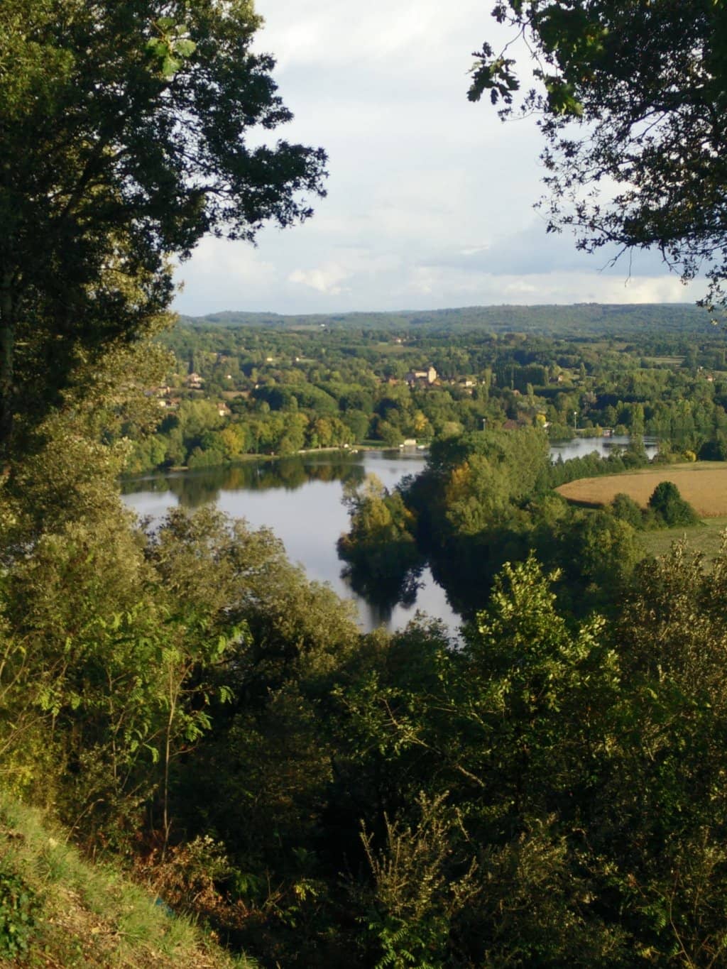 Vertical photo