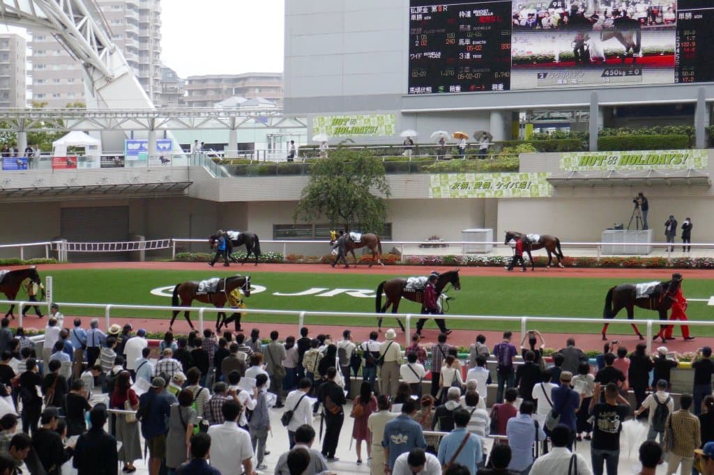Hanshin Racecourse