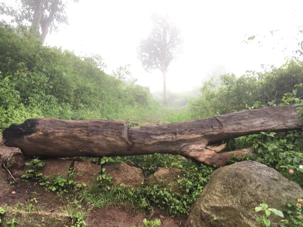 Ancient Shiva Temple