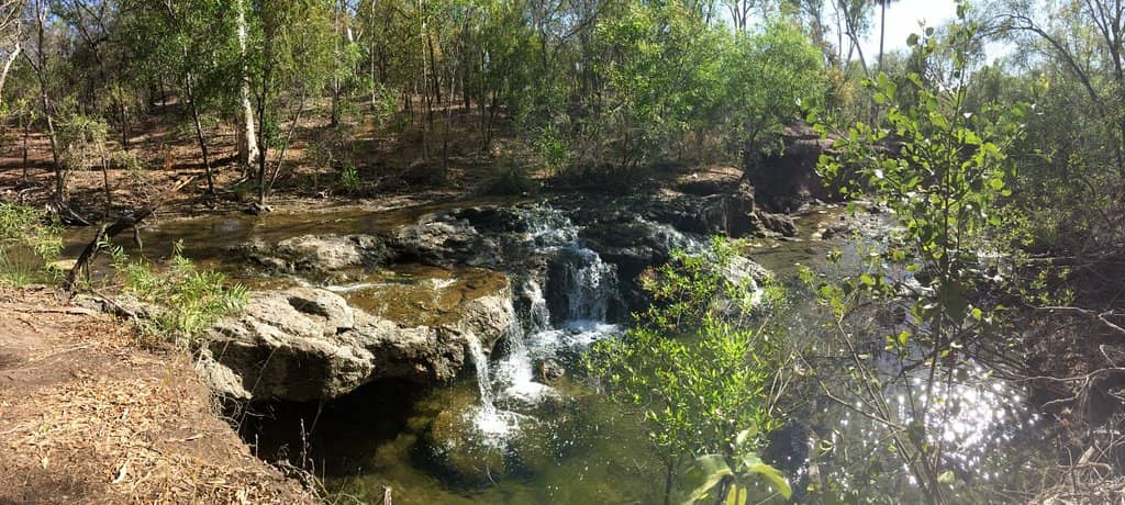 Bitter Springs Thermal Pools