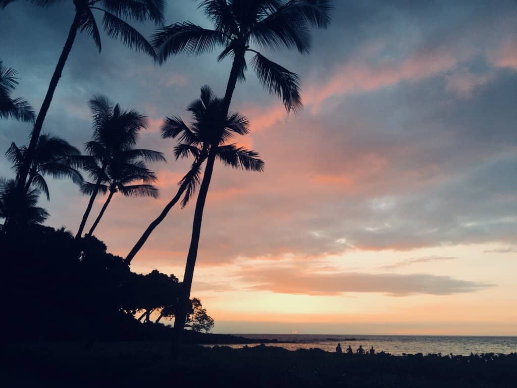 Abundant Sea Turtle Sightings