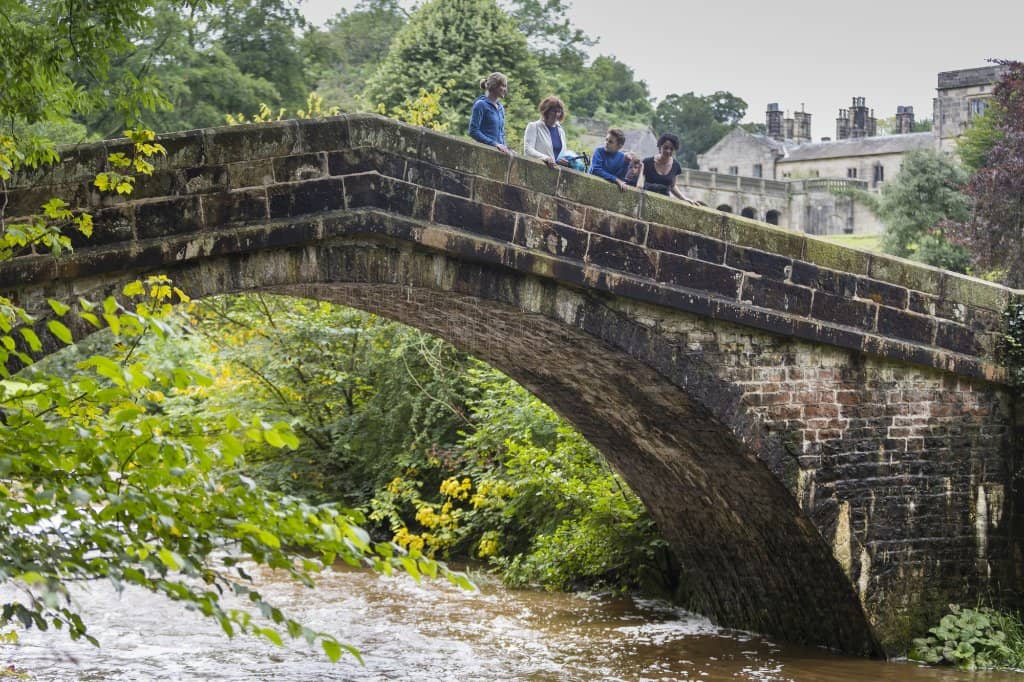 Dovedale Valley & Stepping Stones