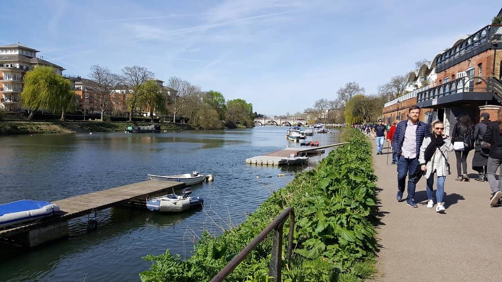 Richmond Bridge Views