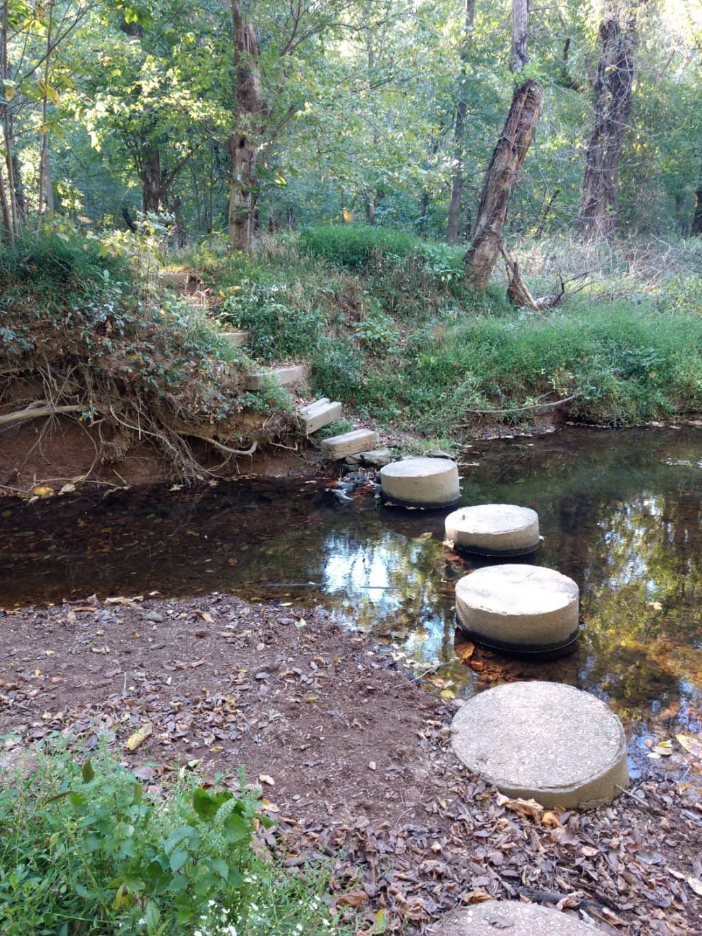 Abundant Flora and Fauna