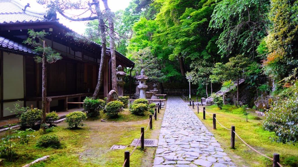 Japanese walkers kept materializing from here and we couldn't figure out where they came from!