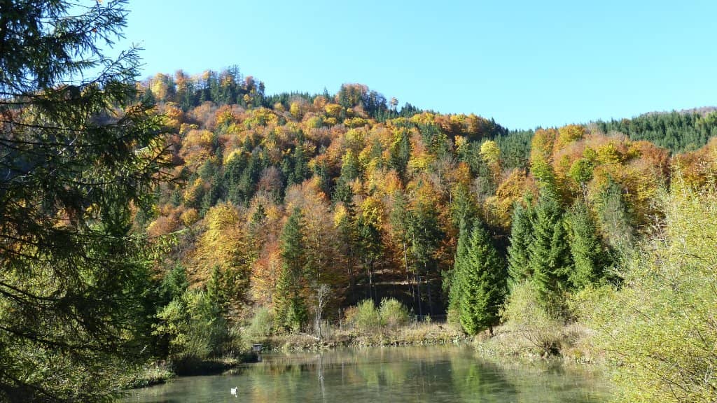 Scenic Mountain Landscape