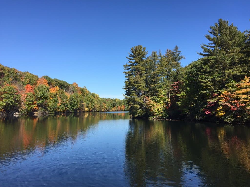fall colors peeking through