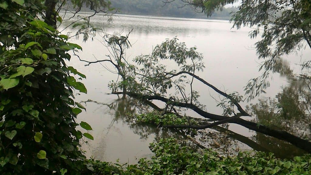Lake