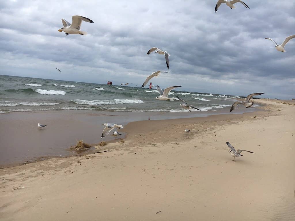 Birdwatching Hotspot