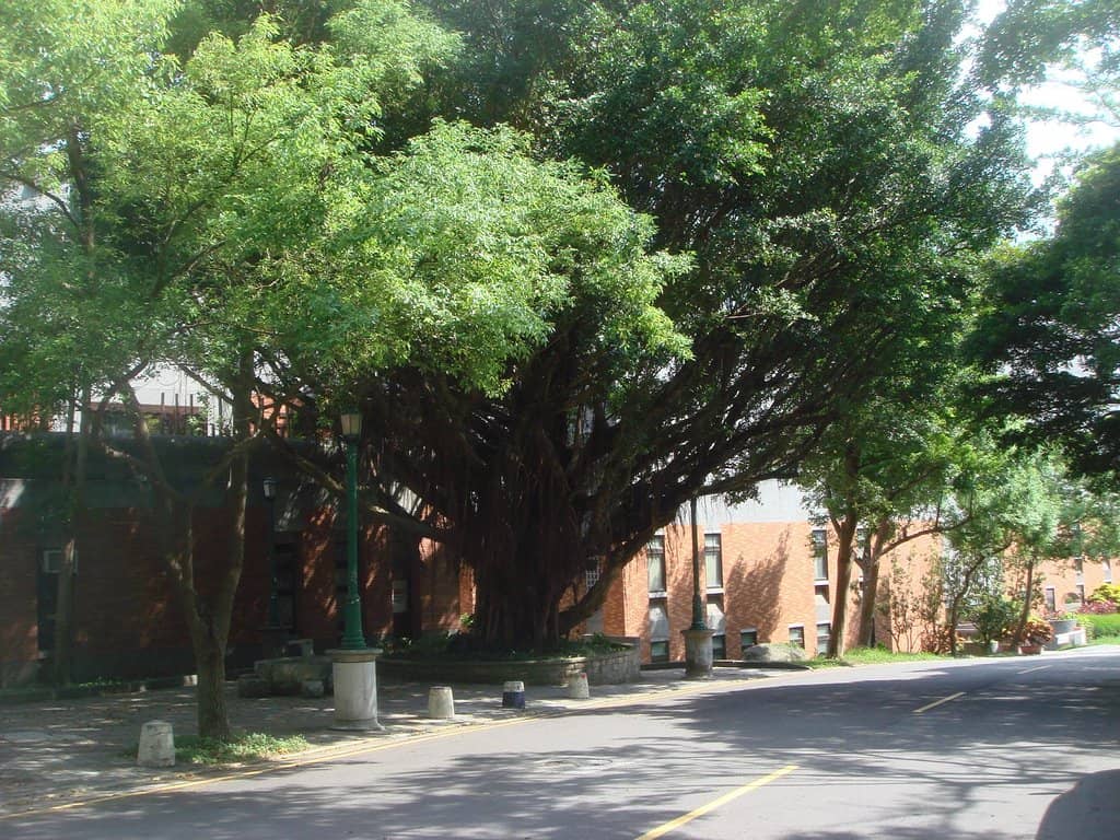 Performance Venues