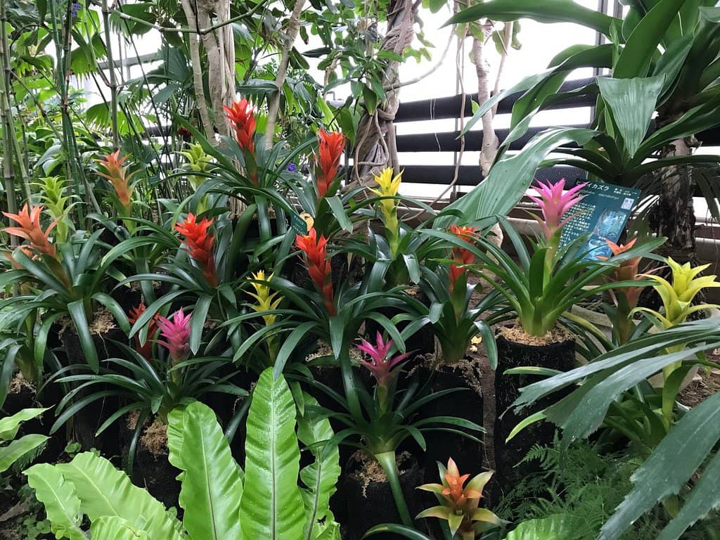 Indoor Waterfall Oasis