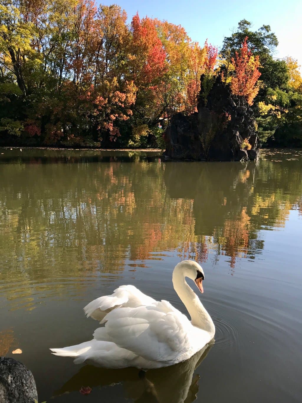 甲府市遊亀公園附属動物園
