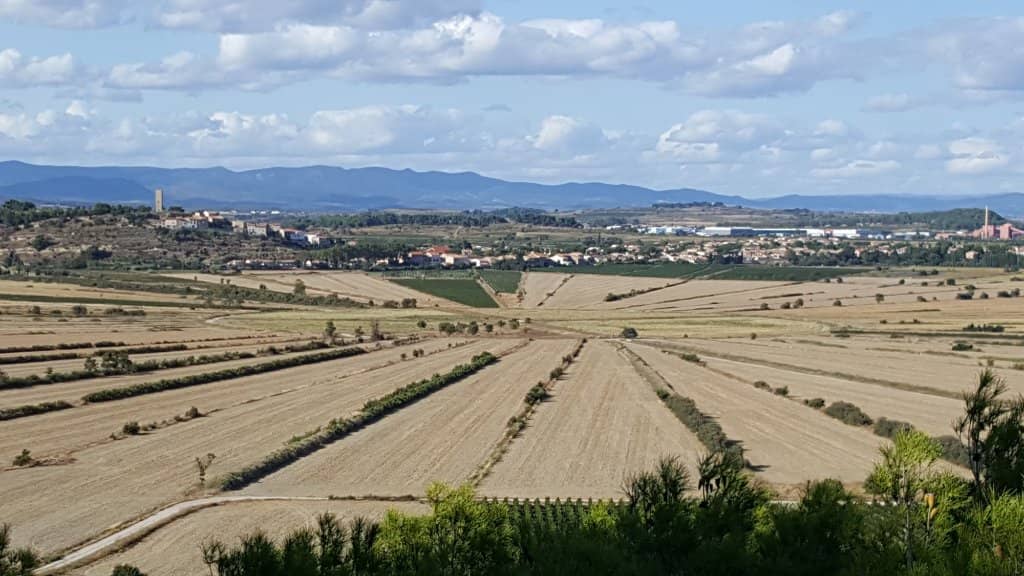 Oppidum d'Ensérune Viewpoint