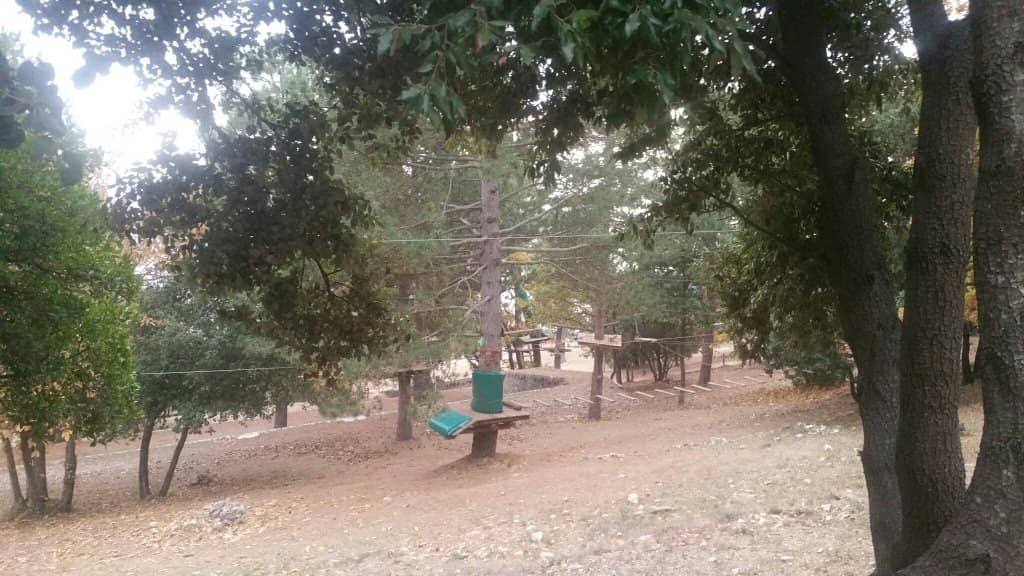 Family Fun & Birthday Celebrations