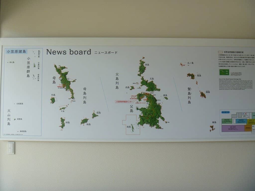 Rare Snail & Beetle Breeding