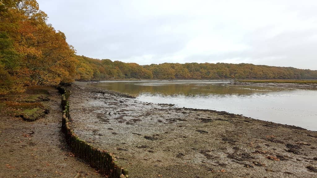 Crabbing & Water Sports