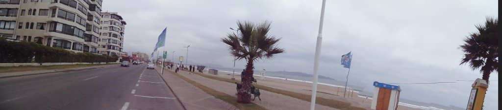 Gastronomic Delights