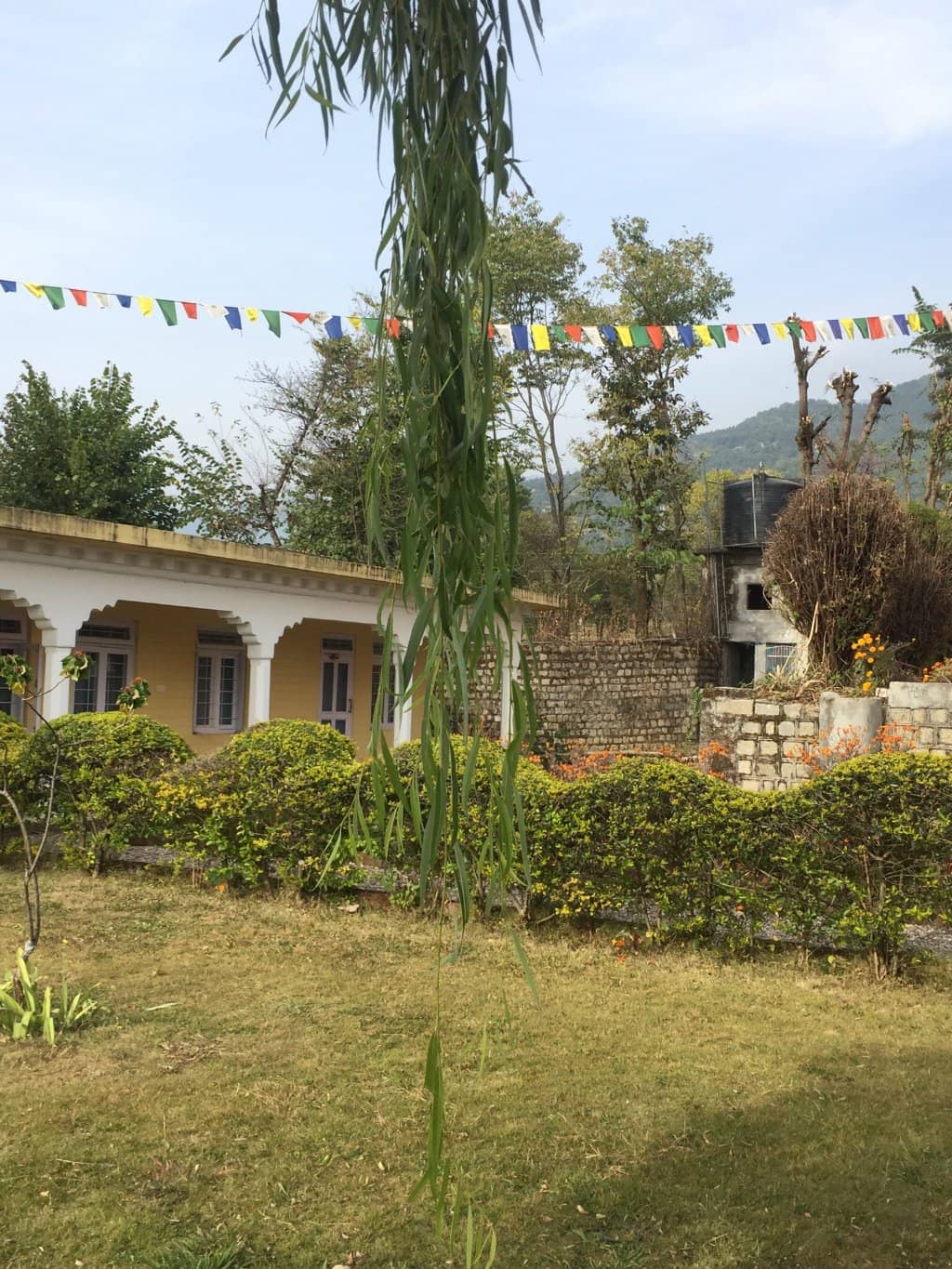 Community Gatherings & Events