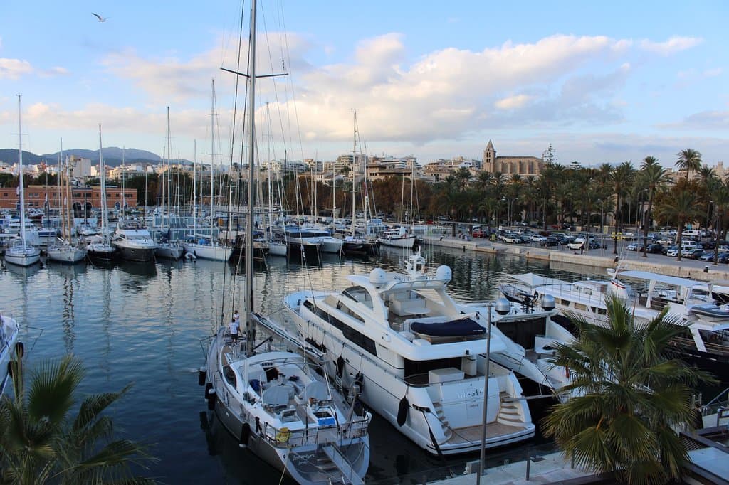 View of Marina Moll Vell