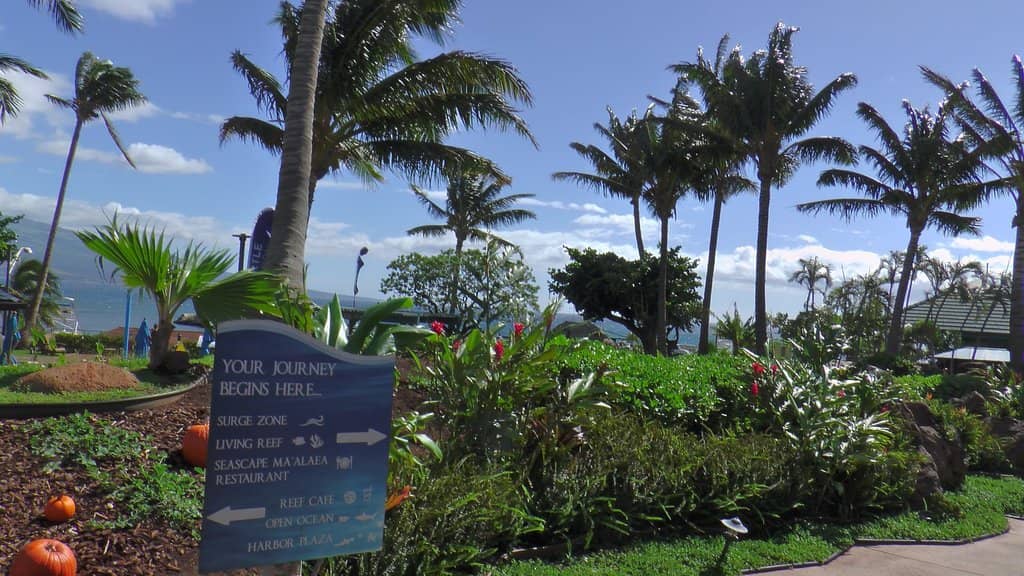 Golden Sands & Sunsets