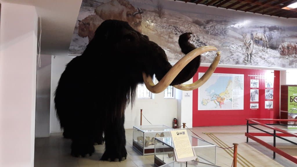 Kostenki Museum Reserve