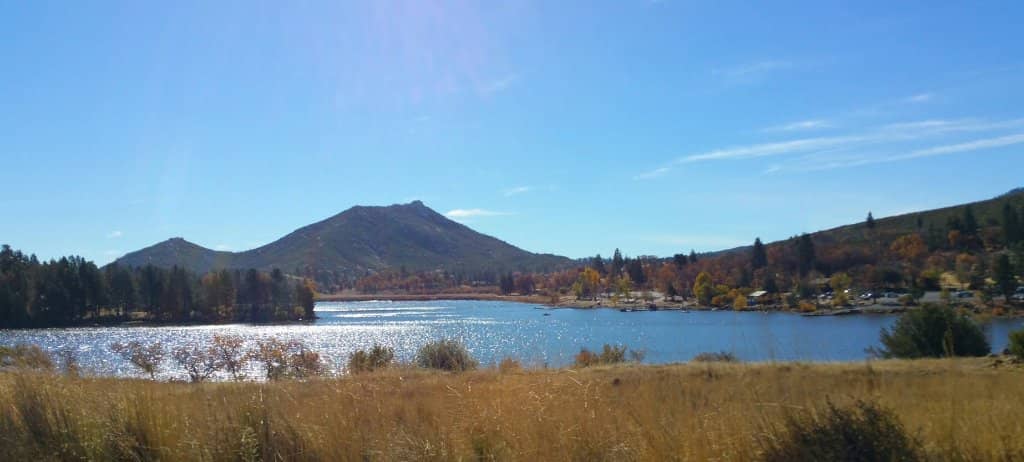 Autumn Foliage