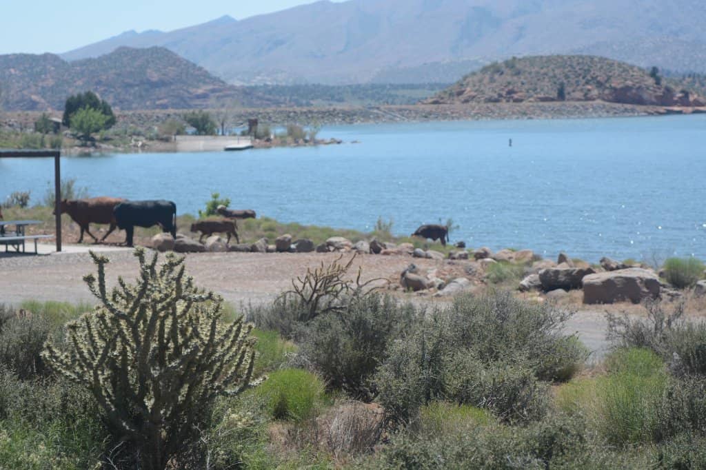 Gunlock Reservoir