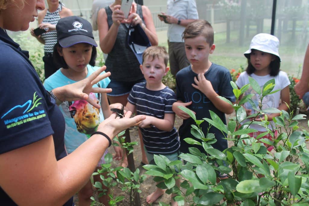 Family Fun & Activities