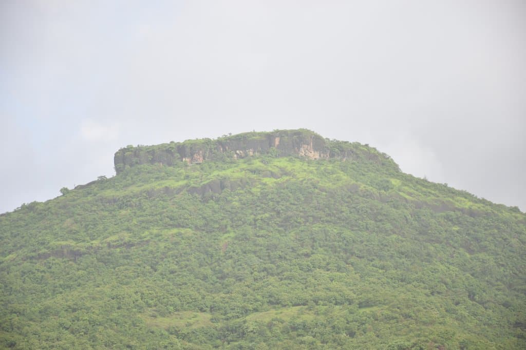 This is the top of the fort