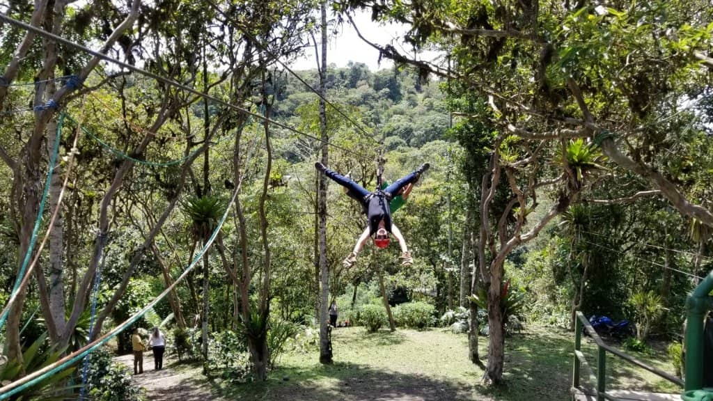 Tarzan Swing