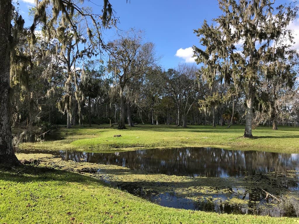 Playground and Sports Courts