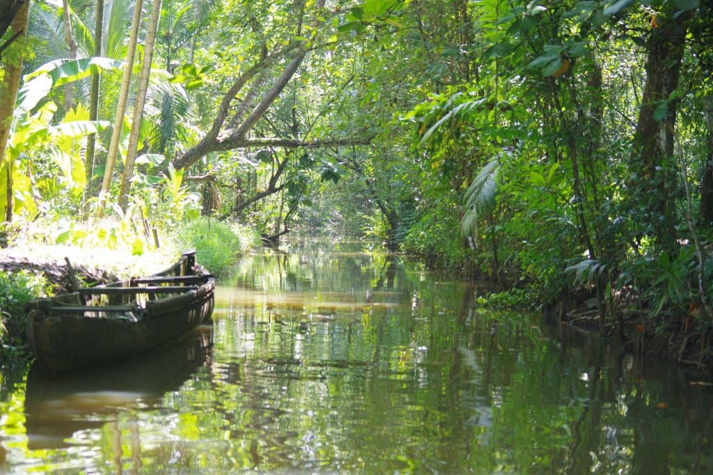 Kumarakom Bird Sanctuary