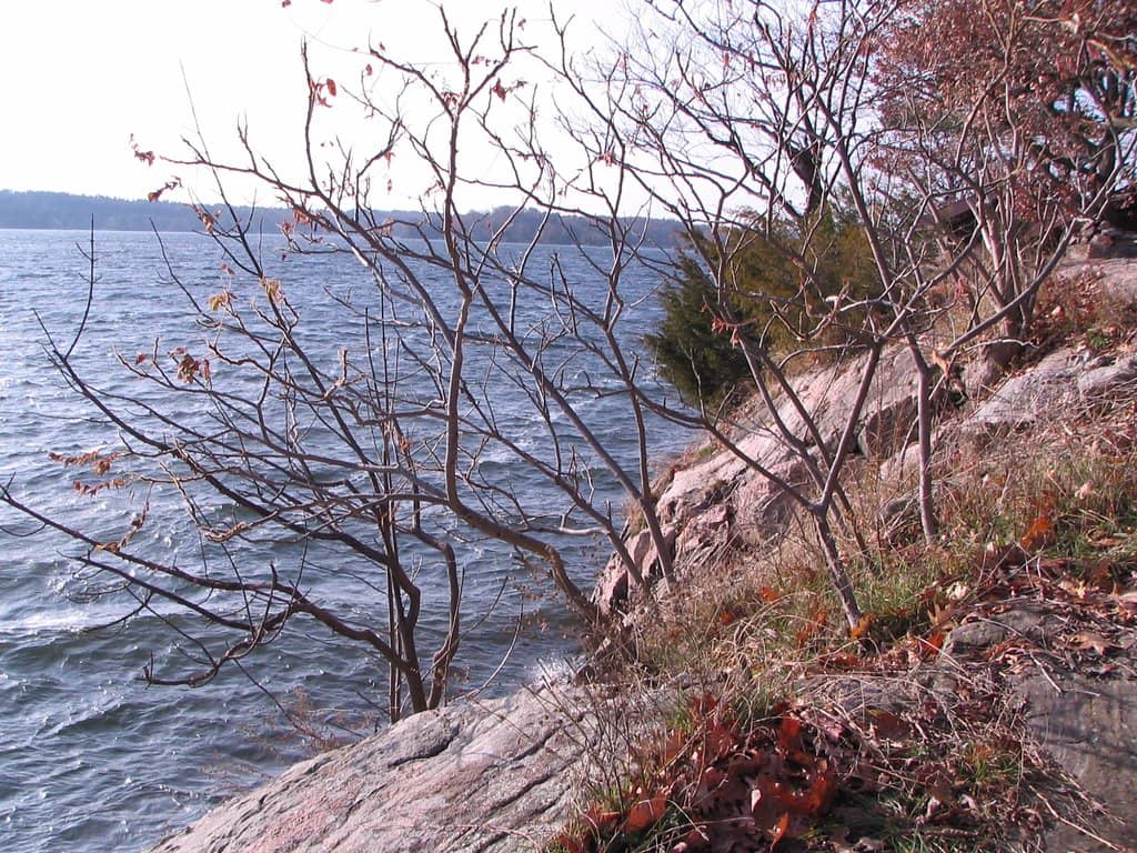 Quiet Camping Experience