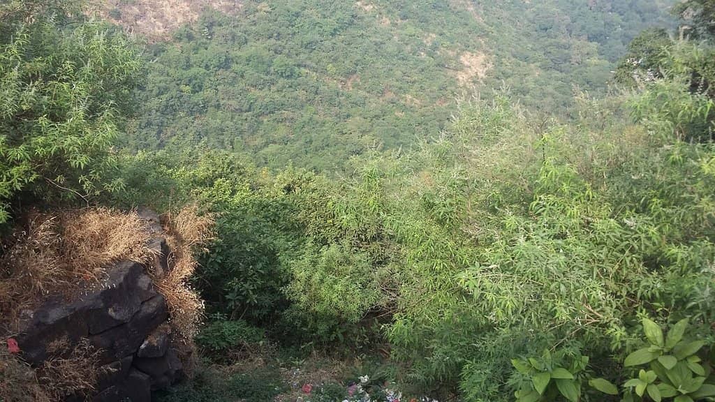 Historical Significance