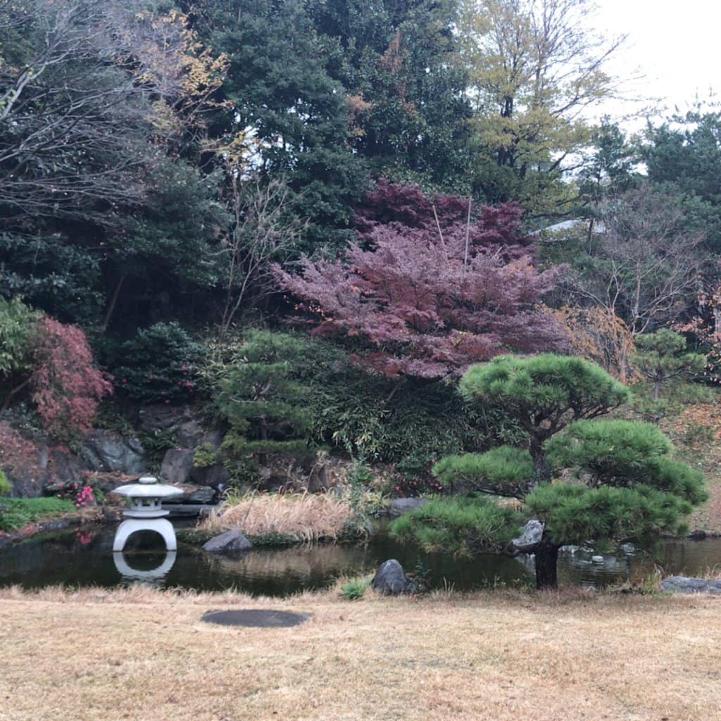 Traditional Japanese Garden