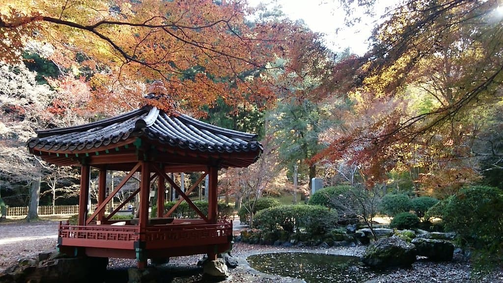 Momijidani Park Iwakuni
