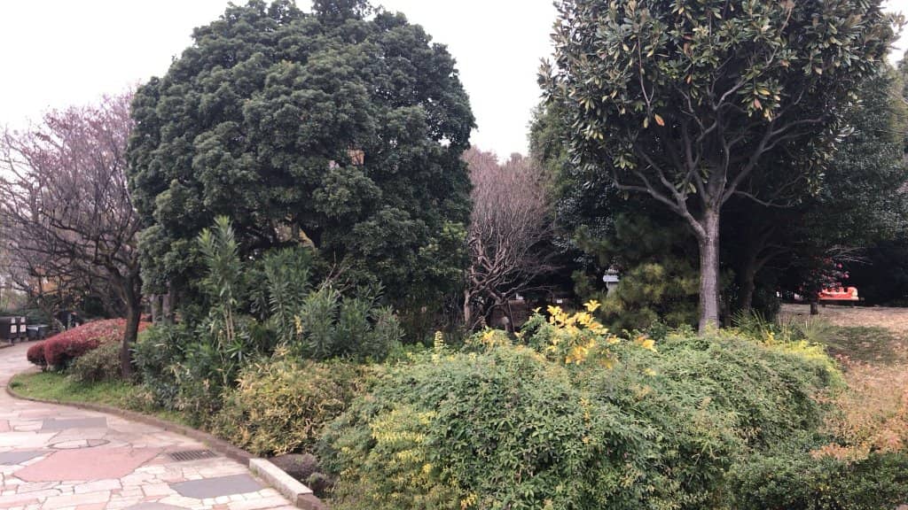 Vertical photo