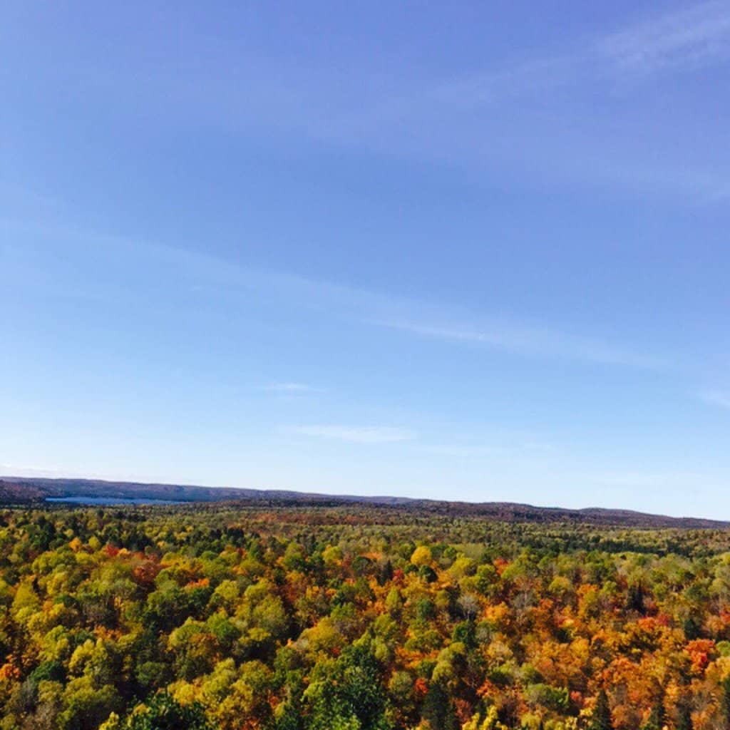 Autumn Foliage Spectacle