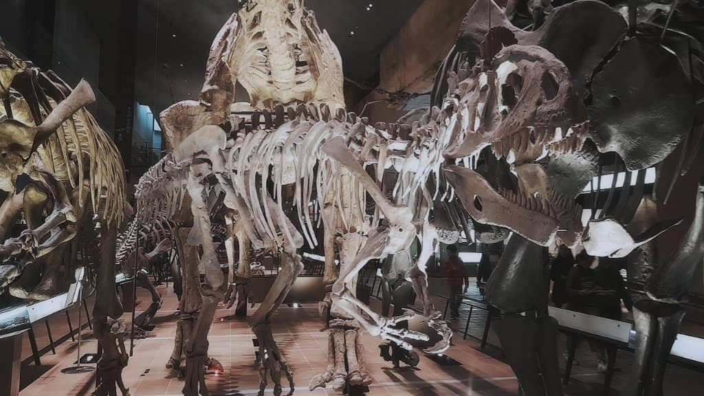 Local History & Culture