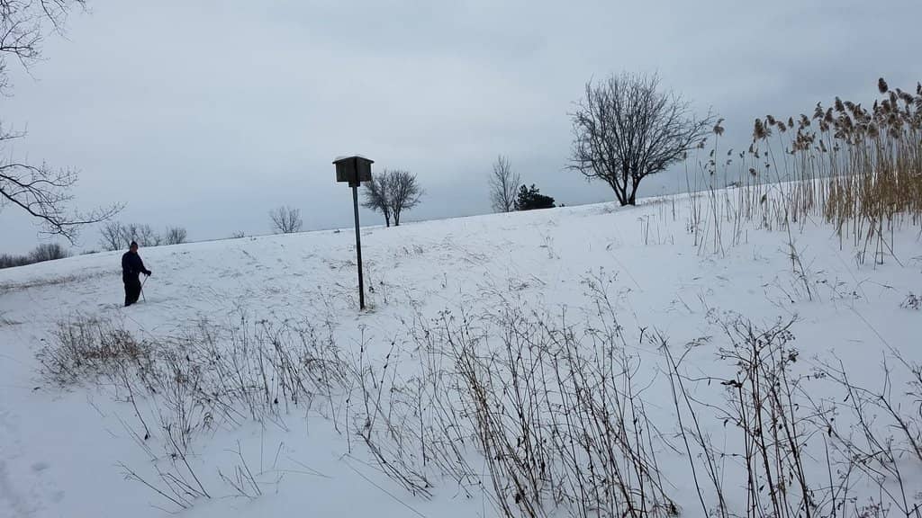 Scenic Walking Trails