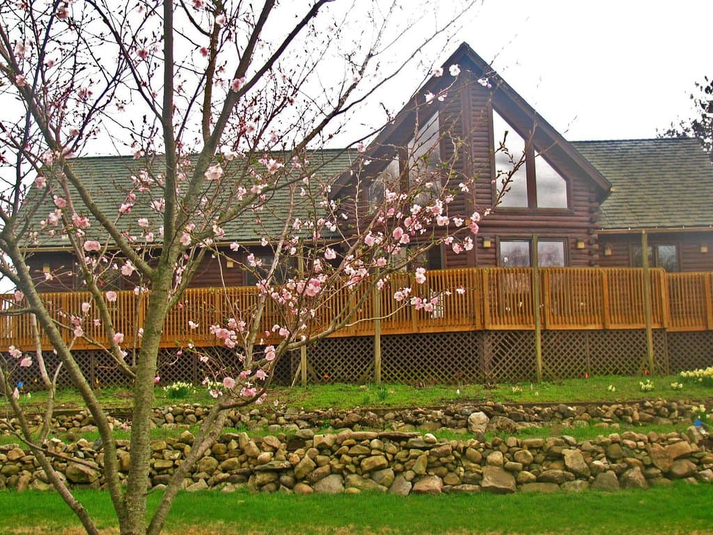 The cabin in Spring