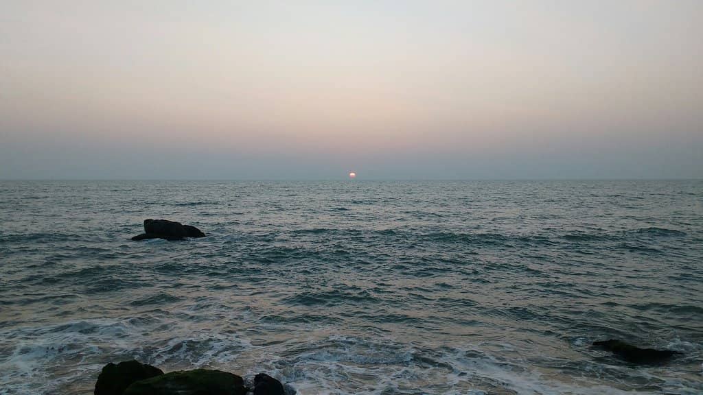 Highlights