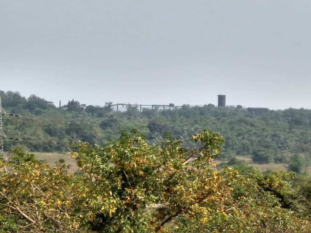 Serene Island Ambiance