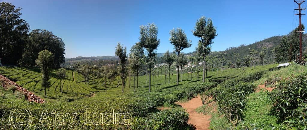 Informative Guided Tour