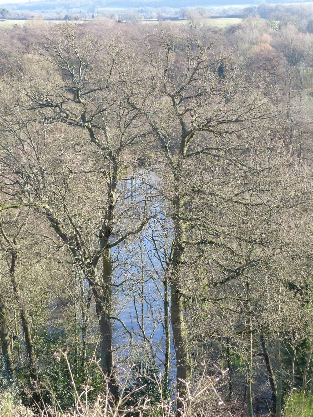 Waterside Path Walk