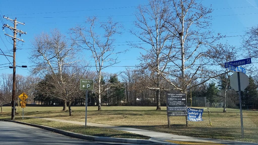 the park