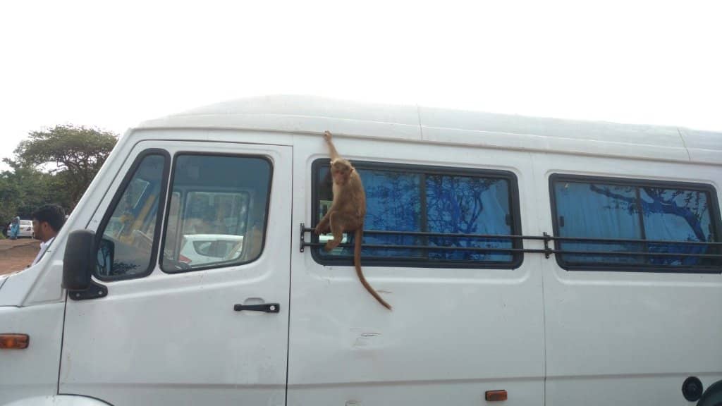 Panoramic Sahyadri Views